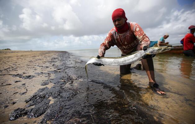 derramamento de óleo marítimo